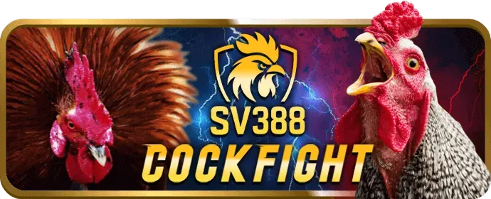 Đá gà trực tuyến KM1888B Casino